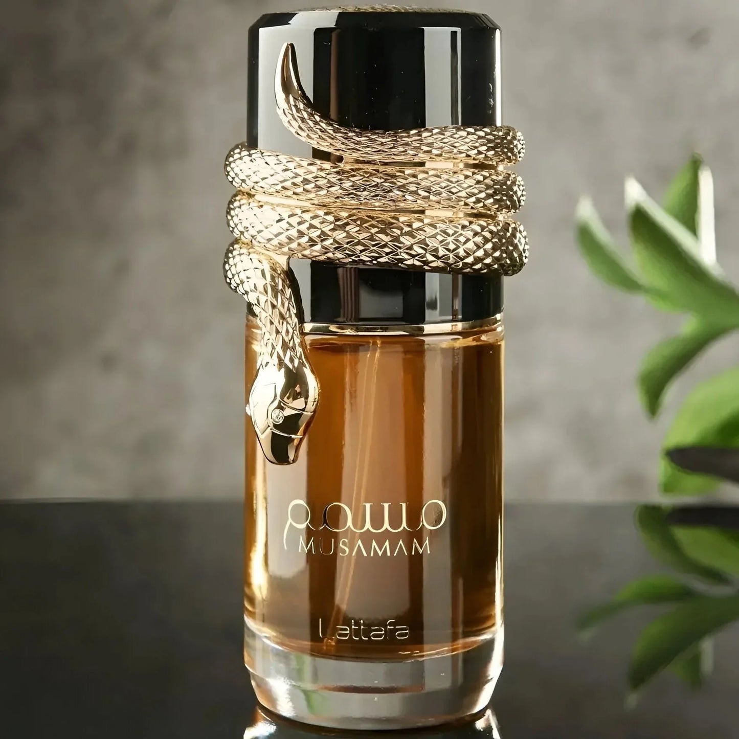 Lattafa Musamam Eau de Parfum 100ml – The Mystery of the Snake Limited Edition